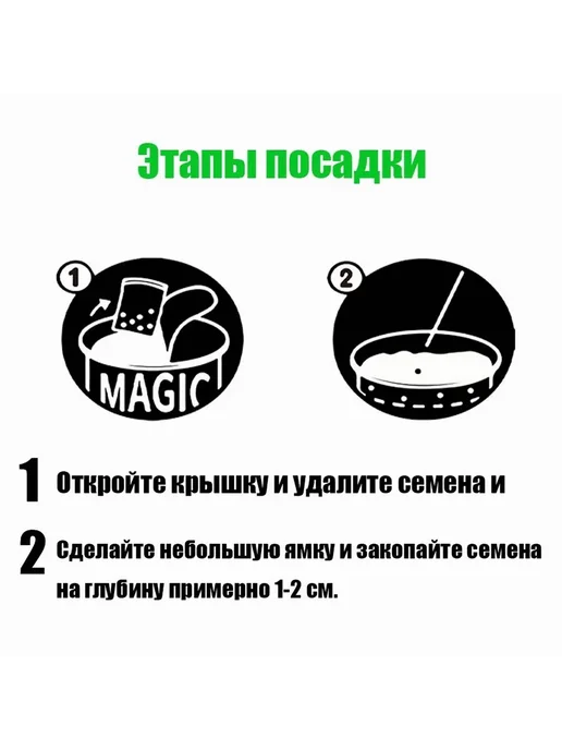Набор для выращивания Подсолнечник Желтый, желтый, фото 3