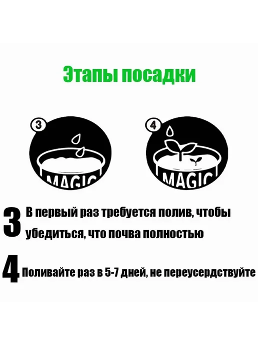 Набор для выращивания Подсолнечник Желтый, желтый, фото 4