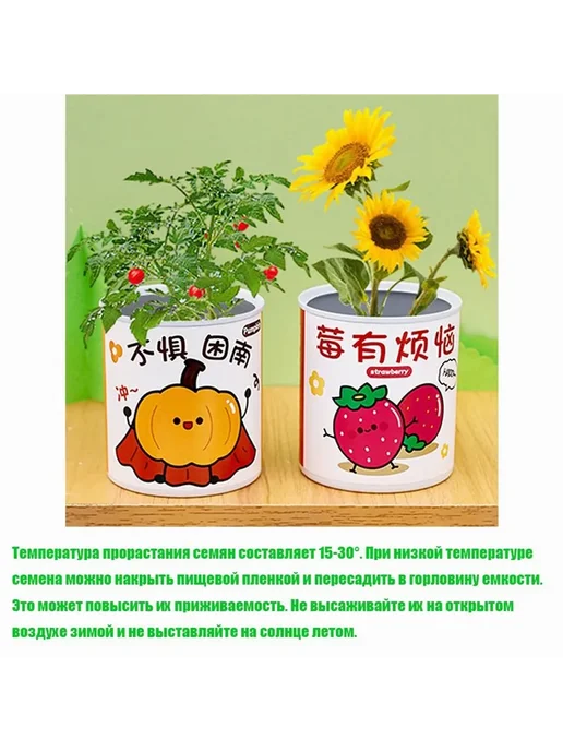 Набор для выращивания Подсолнечник Желтый, желтый, фото 5