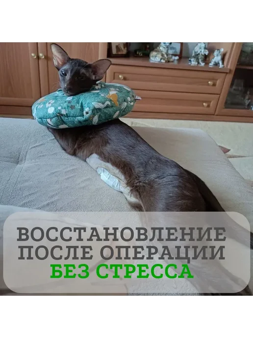 Мягкий защитный воротник-подушка для кошек и собак, S S, вариант, фото 3