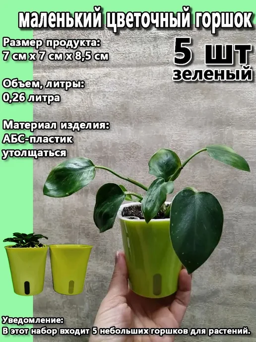 Набор горшков для цветов, 8.5 см, 5 ш зеленый 5шт, 5 шт