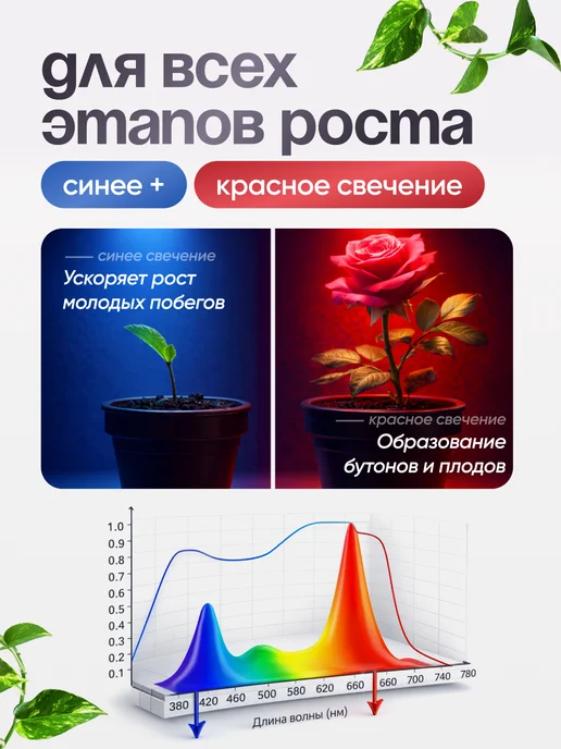 FILTEC Фитолампа полного цикла для цветов и растений 2шт, 2 шт, фото 4