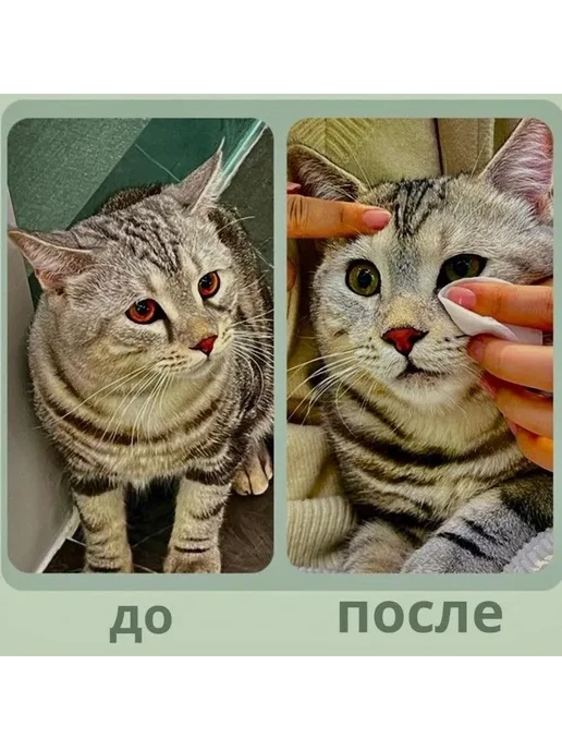 Влажные салфетки для животных Алоэ-вера 50 шт, 100 шт, фото 6