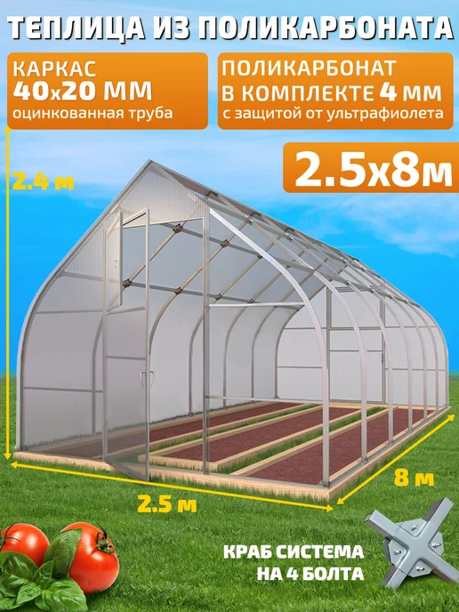 TEPLITSA-RUS Теплица Каплевидная из Поликарбоната 2.5х8м Стрелецкая Люкс, 8 м