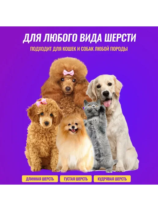 Машинка для стрижки животных Серебристый, серебристый, фото 2