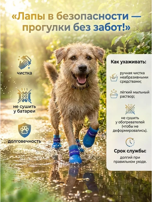 резиновые сапожки для собачек и кошек, обувь для собак, голубой