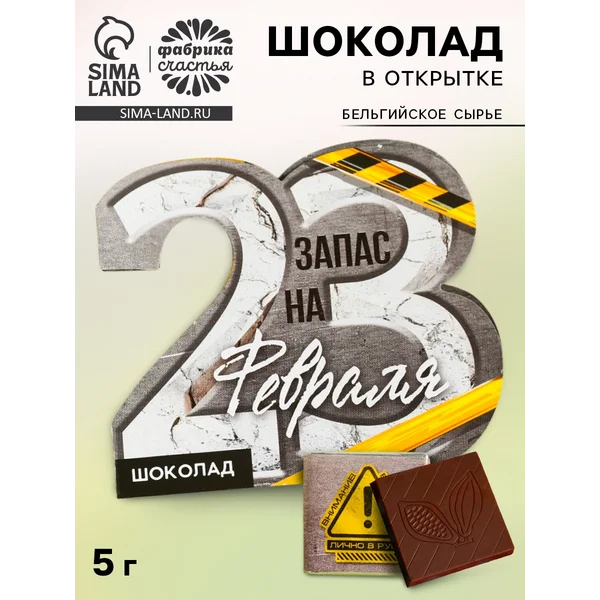 Шоколад молочный в открытке «Запас на 23 февраля», 5 г.
