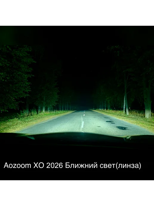 AoZoom Светодиодные Led лампы H4 XO с обманками, 2 шт, фото 7