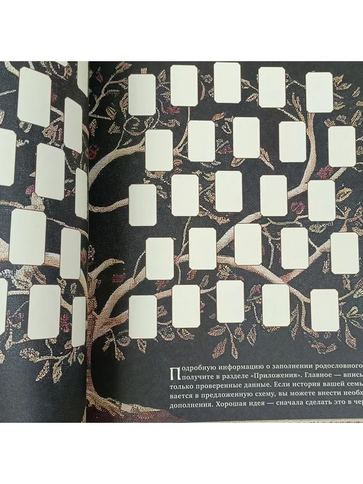 Родословная книга - Семейное древо в коже, коричневый, фото 7