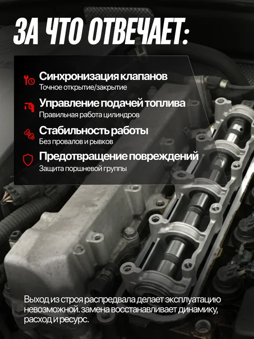 Вал распределительный LADA ВАЗ 2101-2107, вариант, фото 2