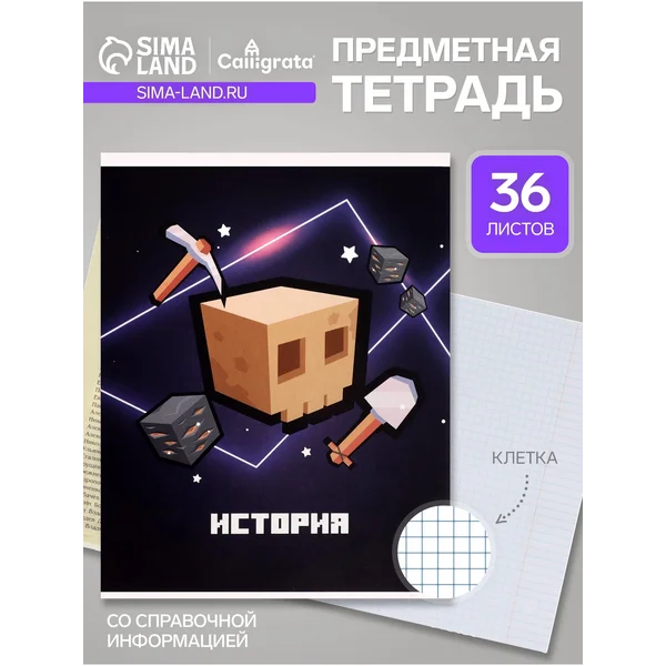 Предметная тетрадь по истории «Пиксели», 36 листов