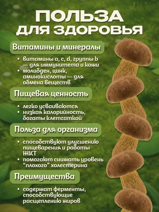 Лесная фея Моховики грибы сушеные 50гр, 100 г, фото 4