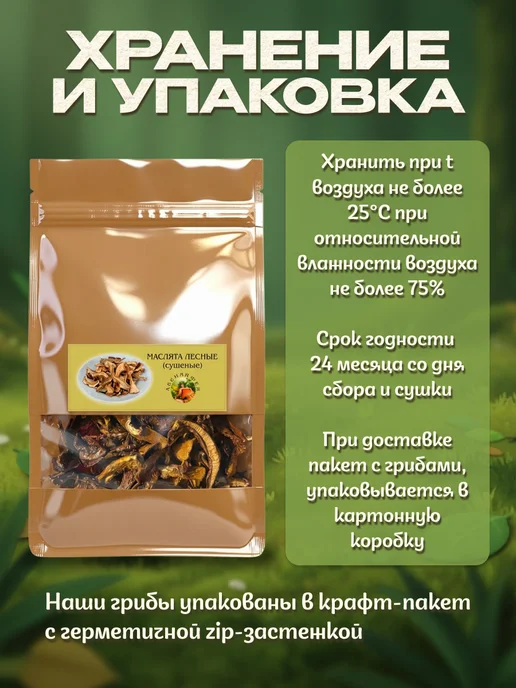 Лесная фея Маслята грибы сушеные 50г, 100 г, фото 2