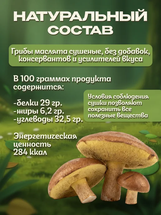 Лесная фея Маслята грибы сушеные 50г, 100 г, фото 3