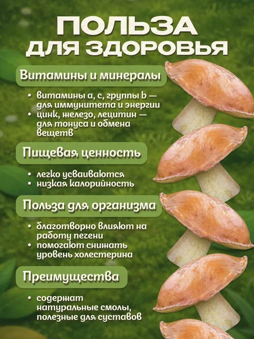 Лесная фея Маслята грибы сушеные 50г, 100 г, фото 4
