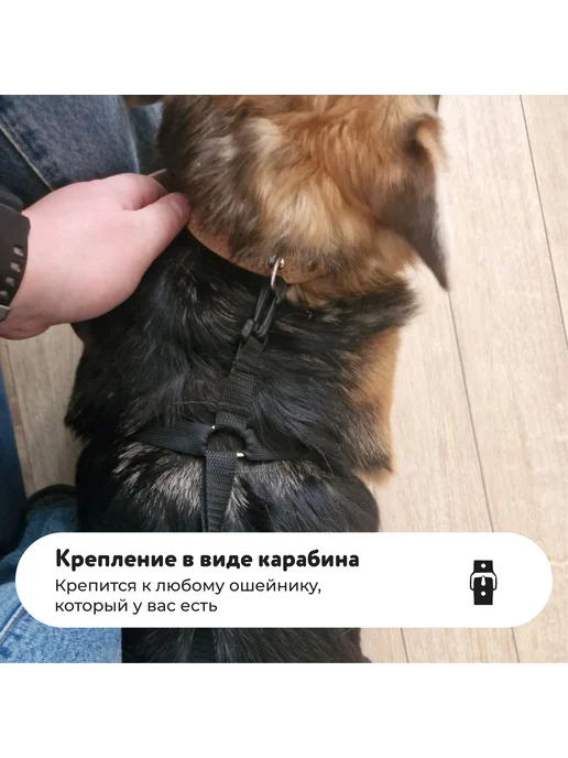 Ботинки, обувь для собак на подтяжках, резинках, черный, фото 8