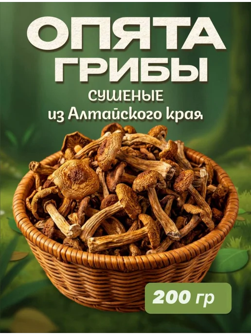 Лесная фея Опята грибы сушеные 50гр, 200 г