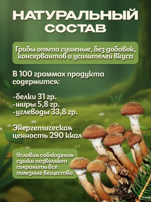 Лесная фея Опята грибы сушеные 50гр, 200 г, фото 2