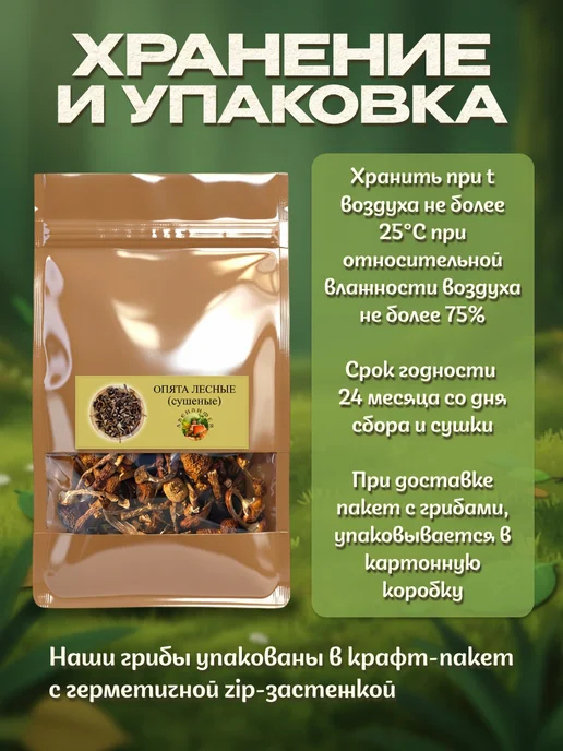 Лесная фея Опята грибы сушеные 50гр, 200 г, фото 3