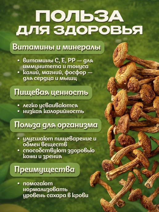 Лесная фея Опята грибы сушеные 50гр, 200 г, фото 4