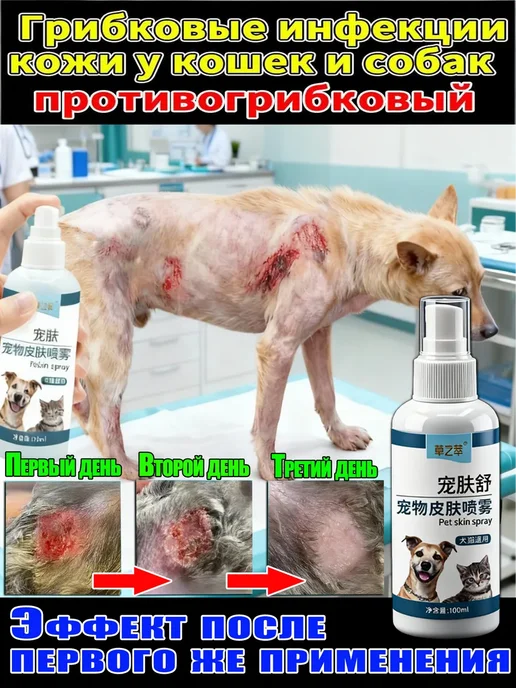 Грибковая инфекция кожи кошек и собак 100мл, 100 мл