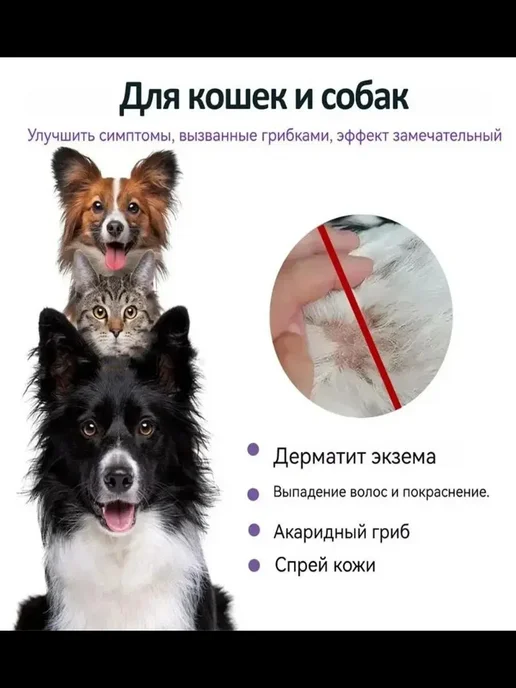 Грибковая инфекция кожи кошек и собак 100мл, 100 мл, фото 2