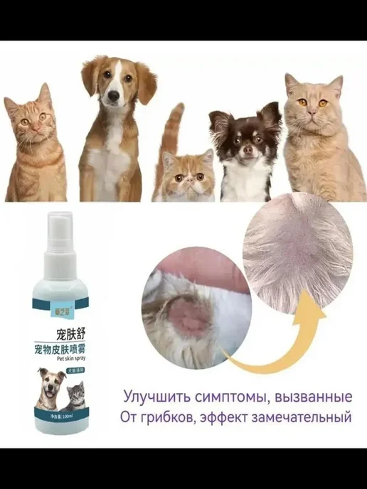 Грибковая инфекция кожи кошек и собак 100мл, 100 мл, фото 3