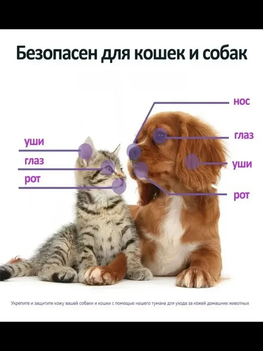 Грибковая инфекция кожи кошек и собак 100мл, 100 мл, фото 4