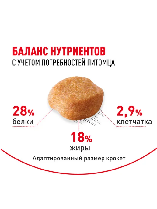 Сухой корм Royal canin Yorkshire Terrier для собак, 1,5 кг, фото 5