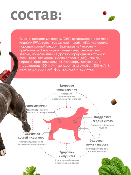 Сухой корм Grandorf' Филе для собак, лосось, 1 кг, фото 3
