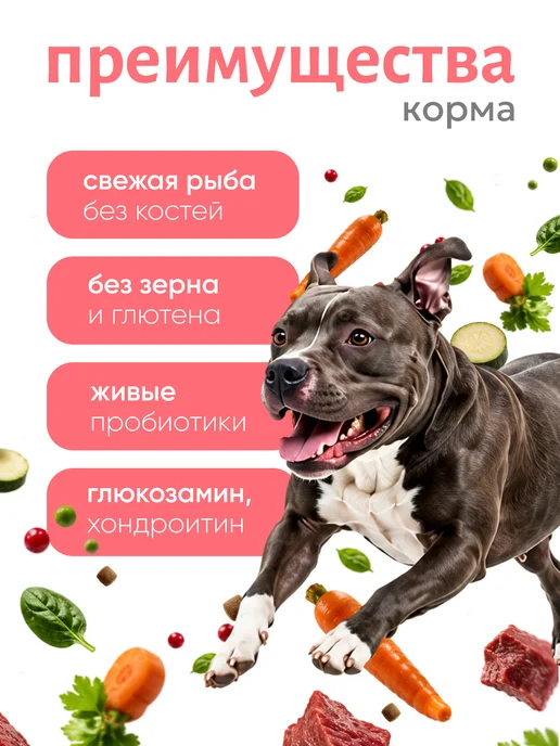 Сухой корм Grandorf' Филе для собак, лосось, 10 кг, фото 2