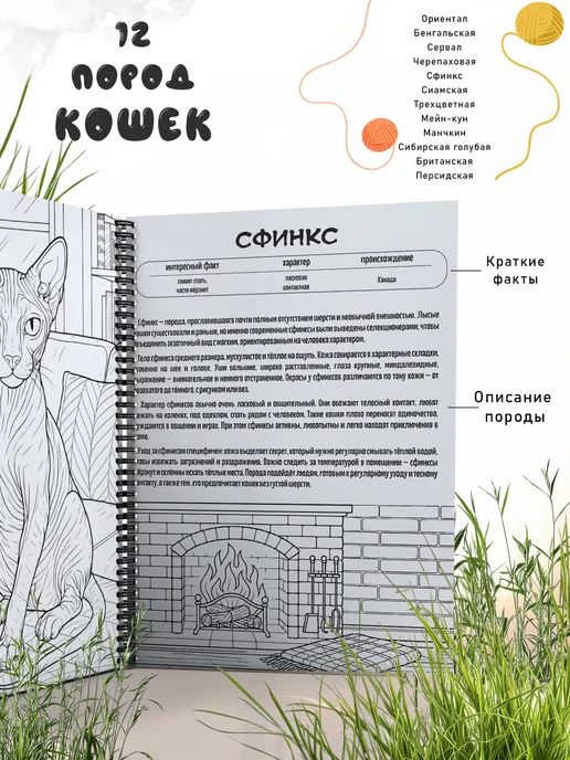 Студия 77 Раскраска антистресс для взрослых с кошками, вариант, фото 2