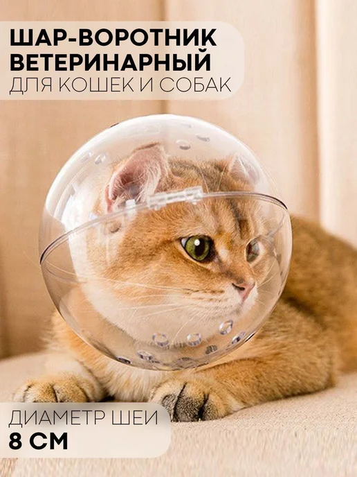 Воротник-шар для кошек и собак размер L до 26 4 см, вариант
