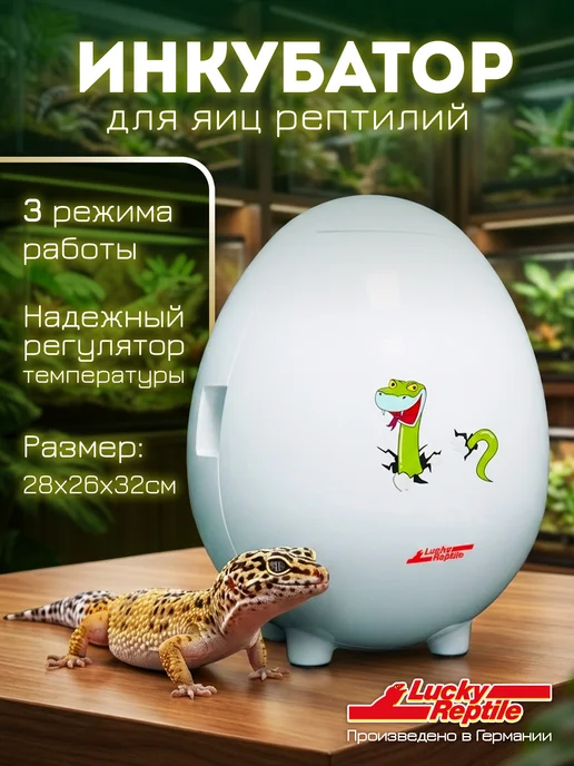 LUCKY REPTILE Инкубатор для яиц рептилий Egg-O-Bator, белый