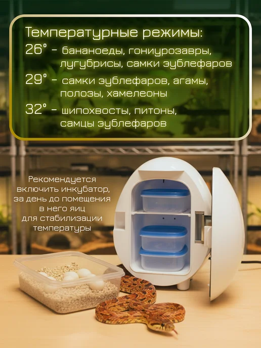 LUCKY REPTILE Инкубатор для яиц рептилий Egg-O-Bator, белый, фото 3