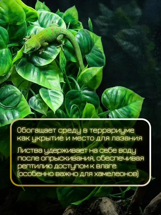 LUCKY REPTILE Растение для террариумов декоративное Philo, 40см, зеленый, фото 2