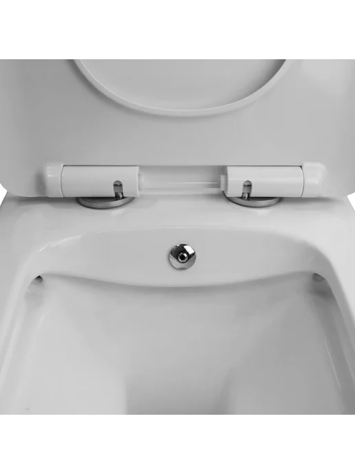 Azario Унитаз с биде подвесной торнадо Dezi White BD AZ-W05-SWBD, белый, фото 8