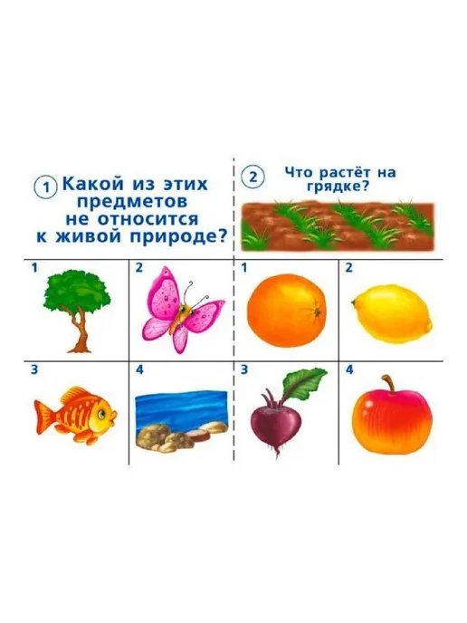 Бурдина С.В. Готов ли ты к школе? Окружающий мир. Природа 5-7 лет, вариант, фото 2