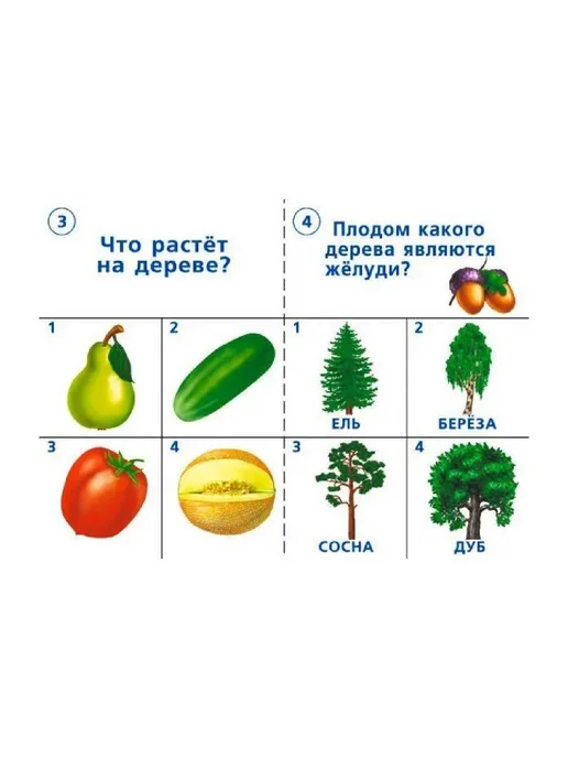 Бурдина С.В. Готов ли ты к школе? Окружающий мир. Природа 5-7 лет, вариант, фото 3