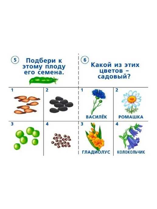 Бурдина С.В. Готов ли ты к школе? Окружающий мир. Природа 5-7 лет, вариант, фото 4