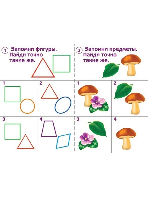 Бурдина С.В. Готов ли ты к школе? Память 5-7 лет, вариант, фото 2