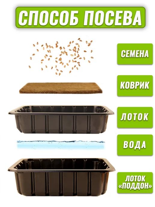 Pro100 Набор для выращивания микрозелени 3 урожая, 3 шт, фото 4
