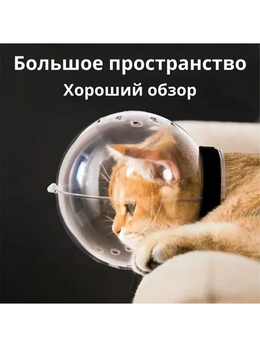 Намордник M, вариант, фото 8
