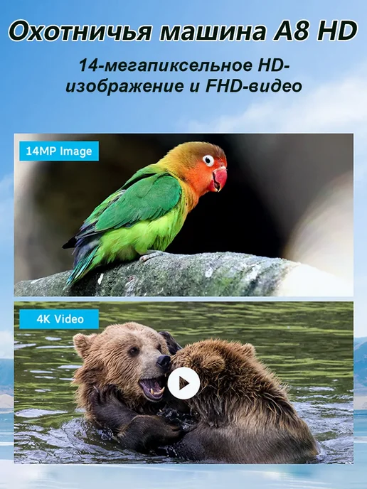 Фотоловушка 4G батарея 7800 мАч 14 МП 4K IP66, 4 г, 7800 мАч, фото 2