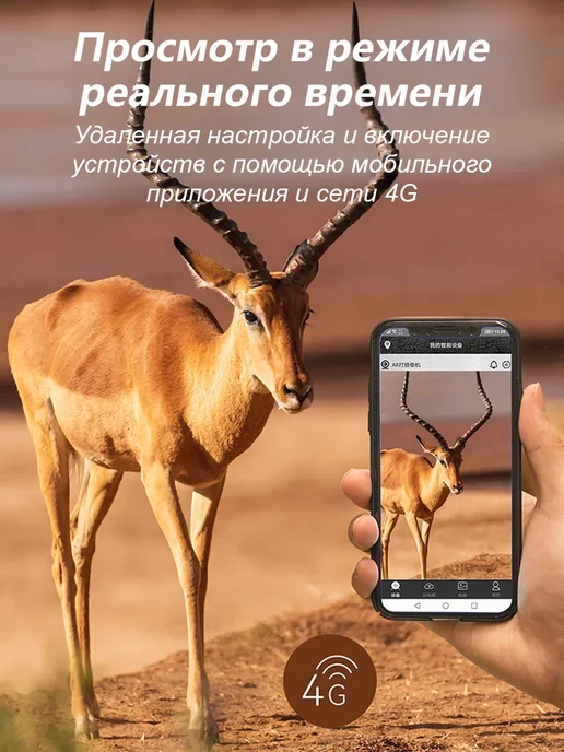 Фотоловушка 4G батарея 7800 мАч 14 МП 4K IP66, 4 г, 7800 мАч, фото 6