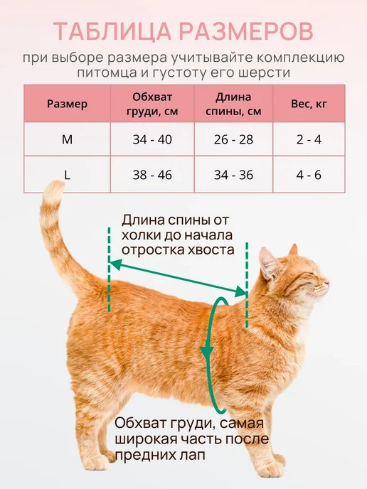 Попона для кошки послеоперационная M, голубой, фото 5