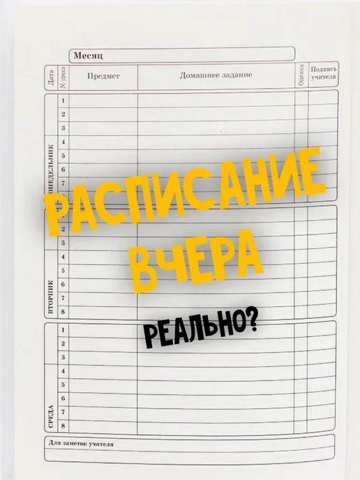 Многоразовое расписание планер уроков школьное на стену A4, белый, фото 5