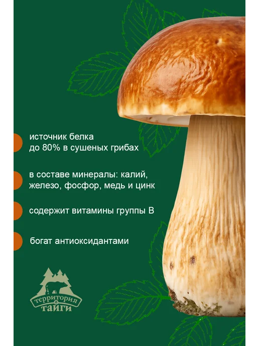 Территория Тайги Грибы сушеные белые 50г, 100 г, фото 3