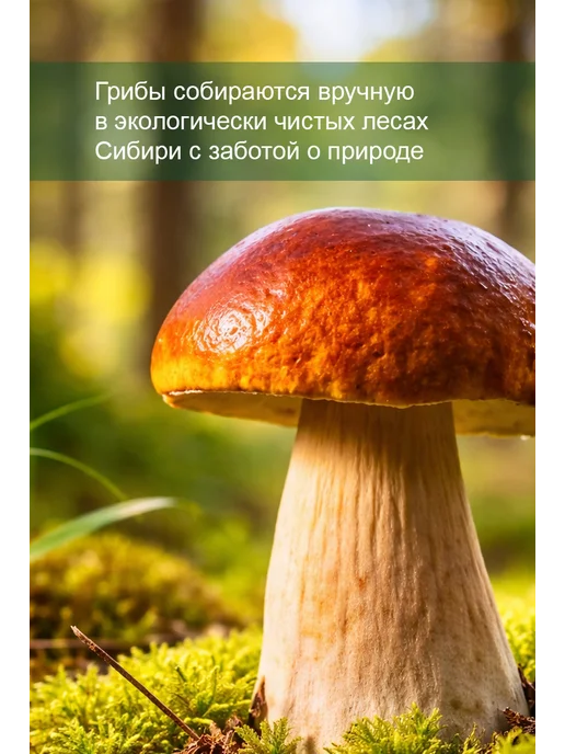 Территория Тайги Грибы сушеные белые 50г, 100 г, фото 5
