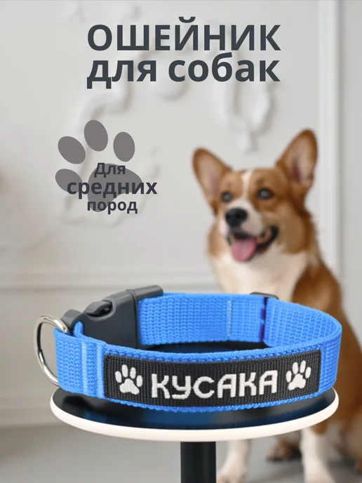 .RONY. Ошейник для собак с вышивкой, синий